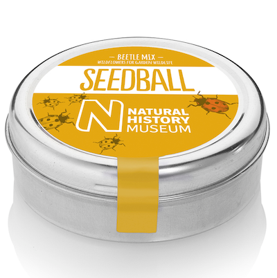 Beetle Mix by Seedball 