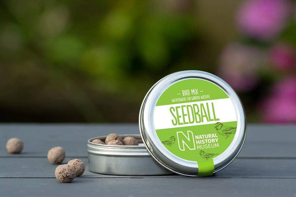 Bird Mix seedball 