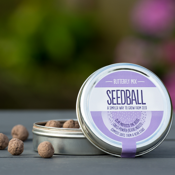 Butterfly mix by Seedball